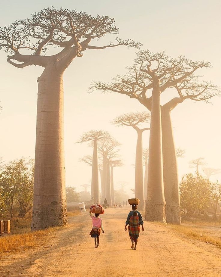 Quand partir à Madagascar ? Le calendrier mois par mois